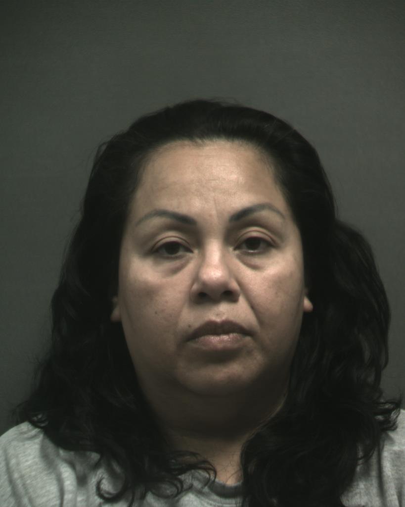 VENZEZ, NANCY booking photo