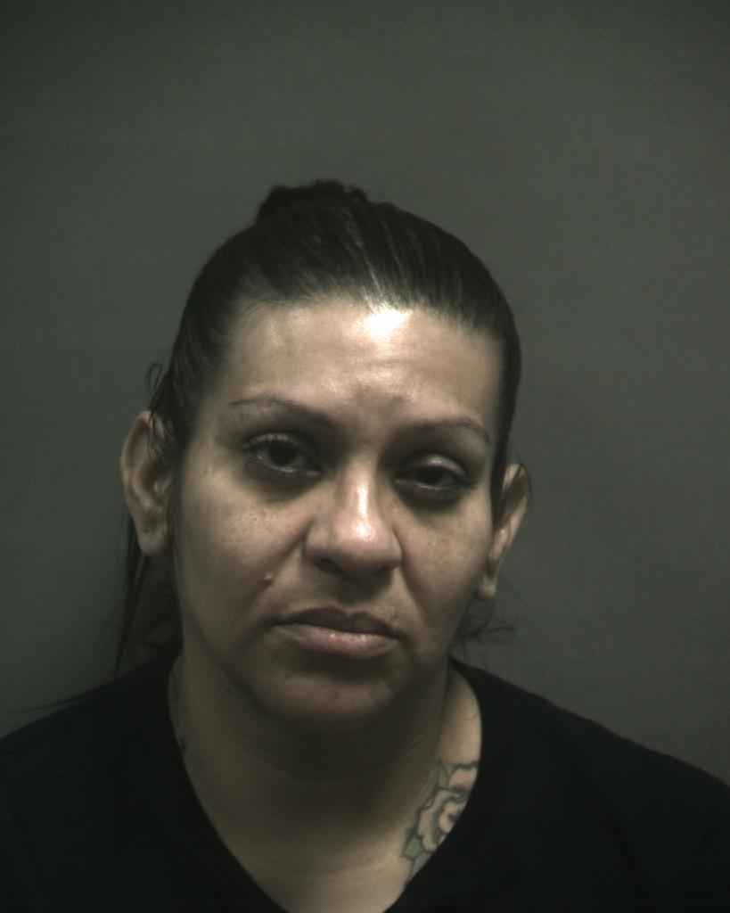LOZOYA, HELENA ANGELICA arrested by Randall County SO/PD
