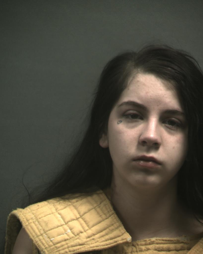 LEDGERWOOD, LILLIAN PAIGE booking photo