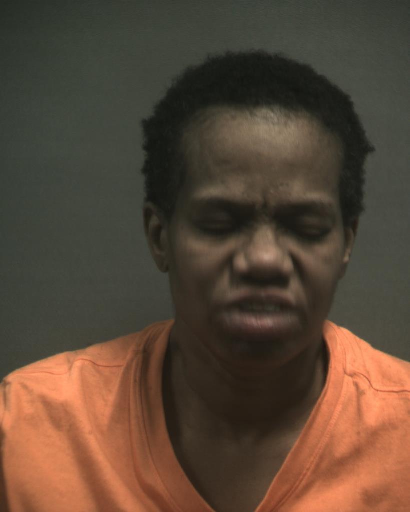 TYSON, ALIS MARIE booking photo