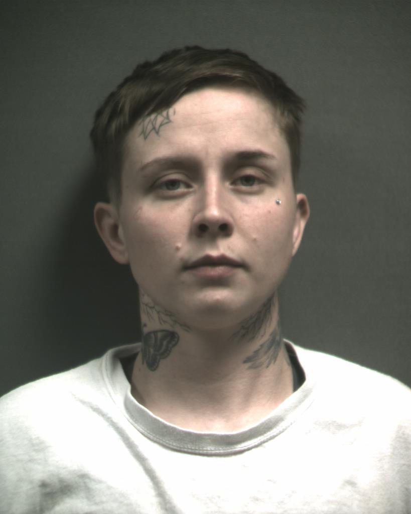 CADY, SABA ANNE booking photo