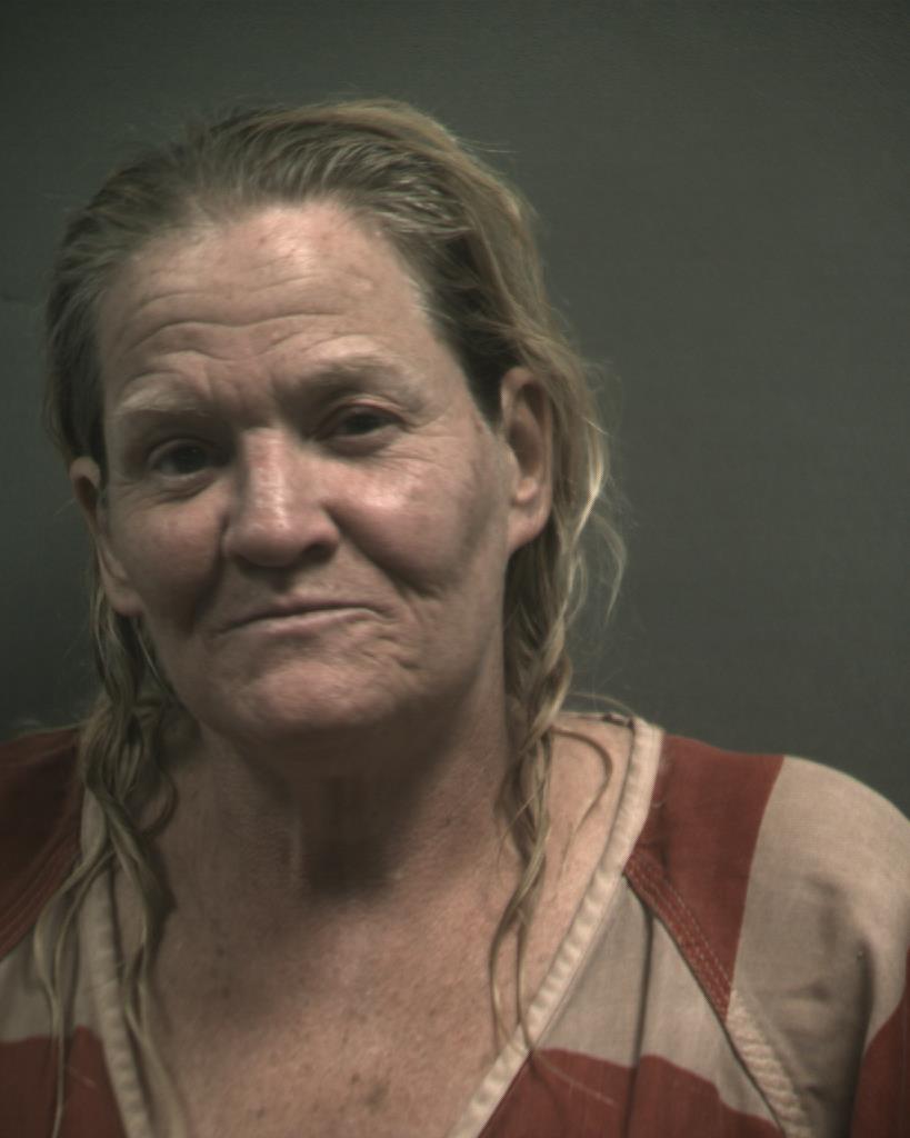 VAN SCHOICK, MICHELLE BETTS booking photo