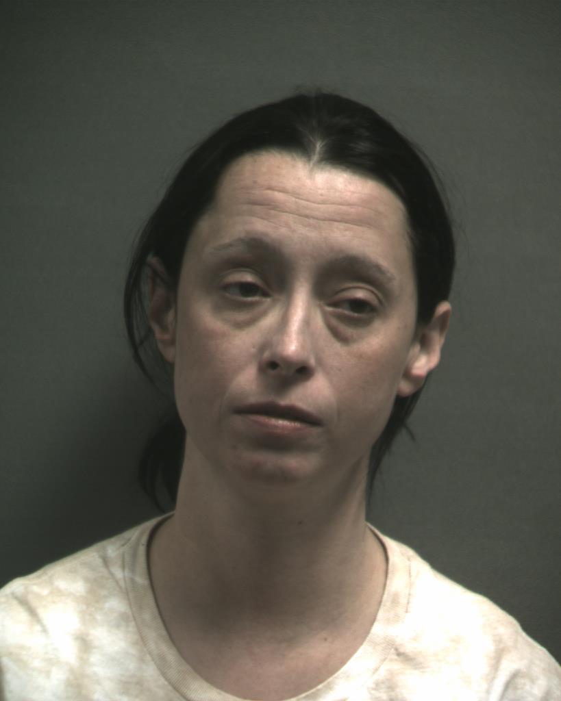 WOLF, ALLISON KAY booking photo