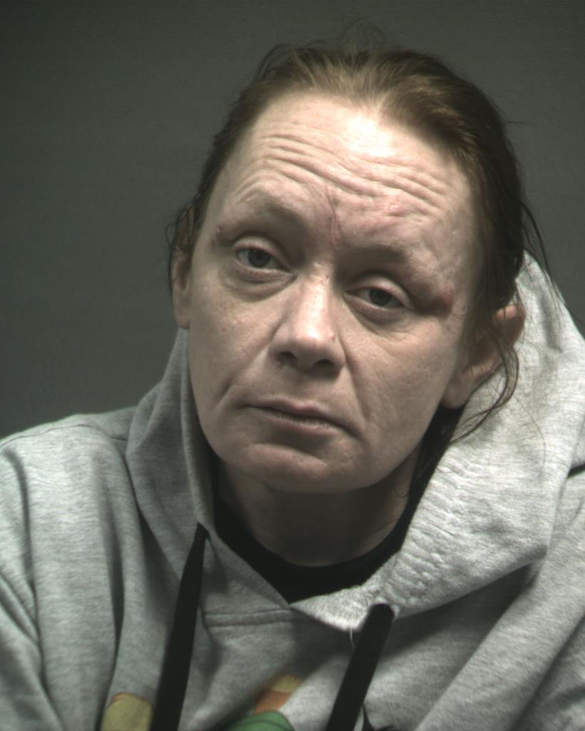 SELLERS, CYNTHIA ANN booking photo