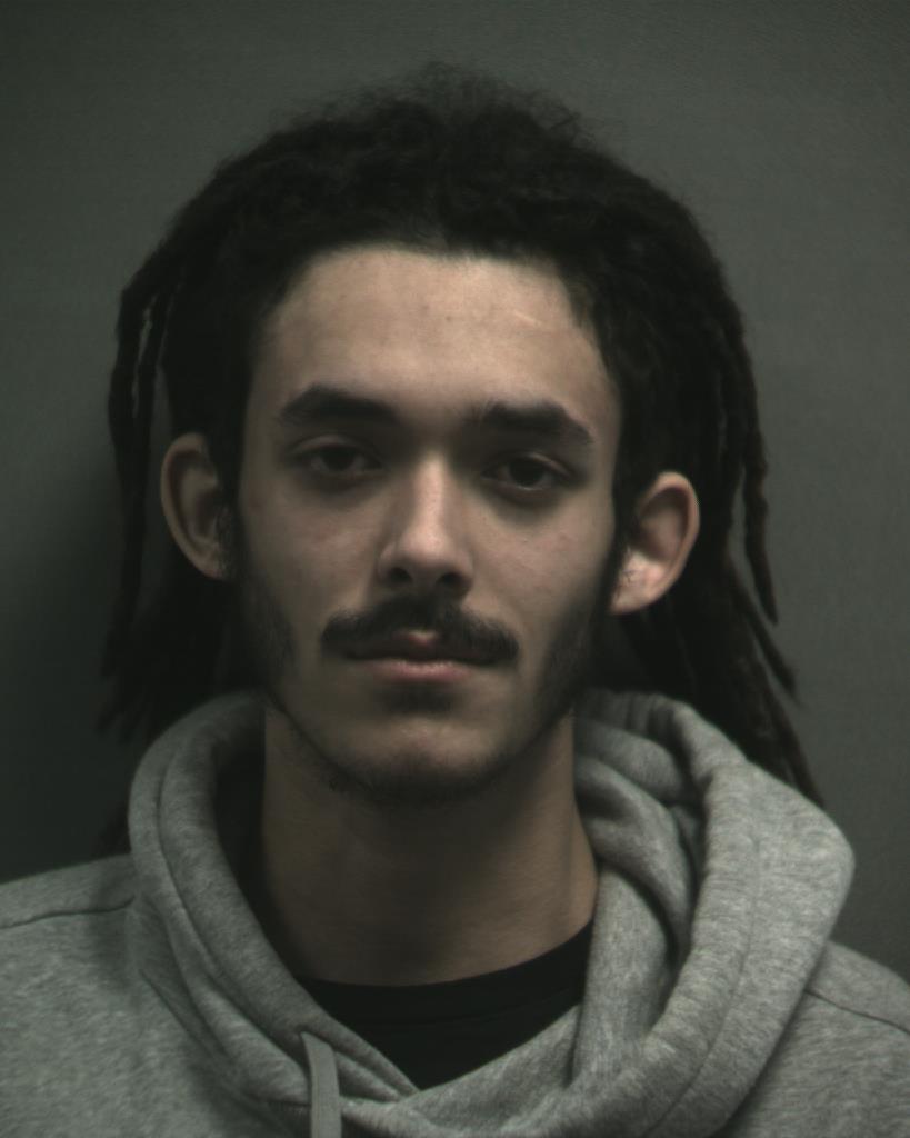 ASHLEY, RILEY GREYSON booking photo