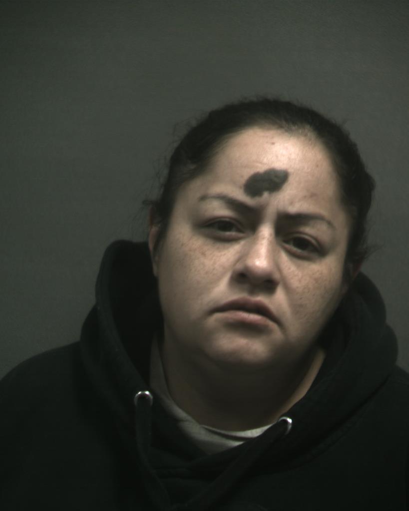 ALANIZ, ANDREA booking photo