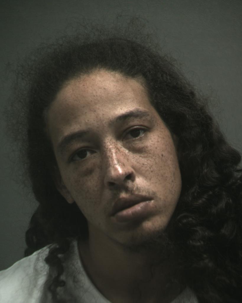 CARTER STEVENSON, MICHAEL DAMIRTI booking photo