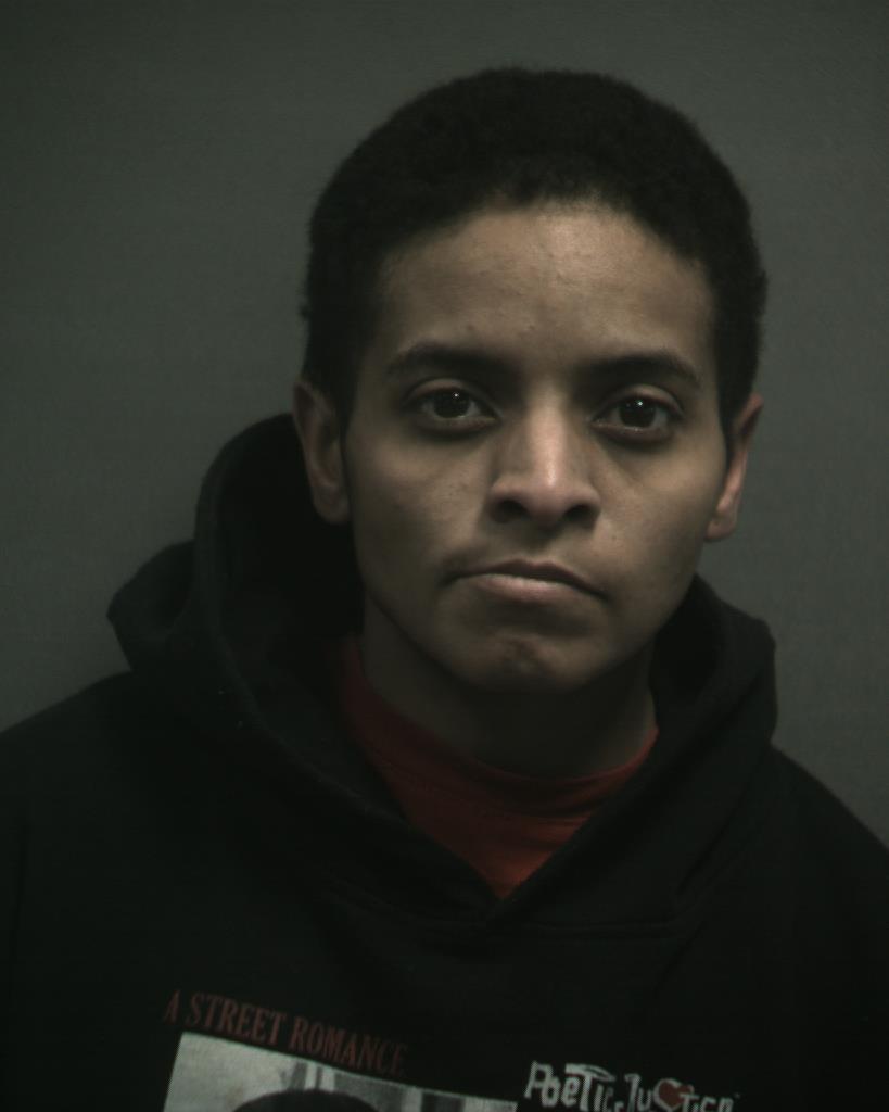 FORD, ERICA ROMELIA booking photo