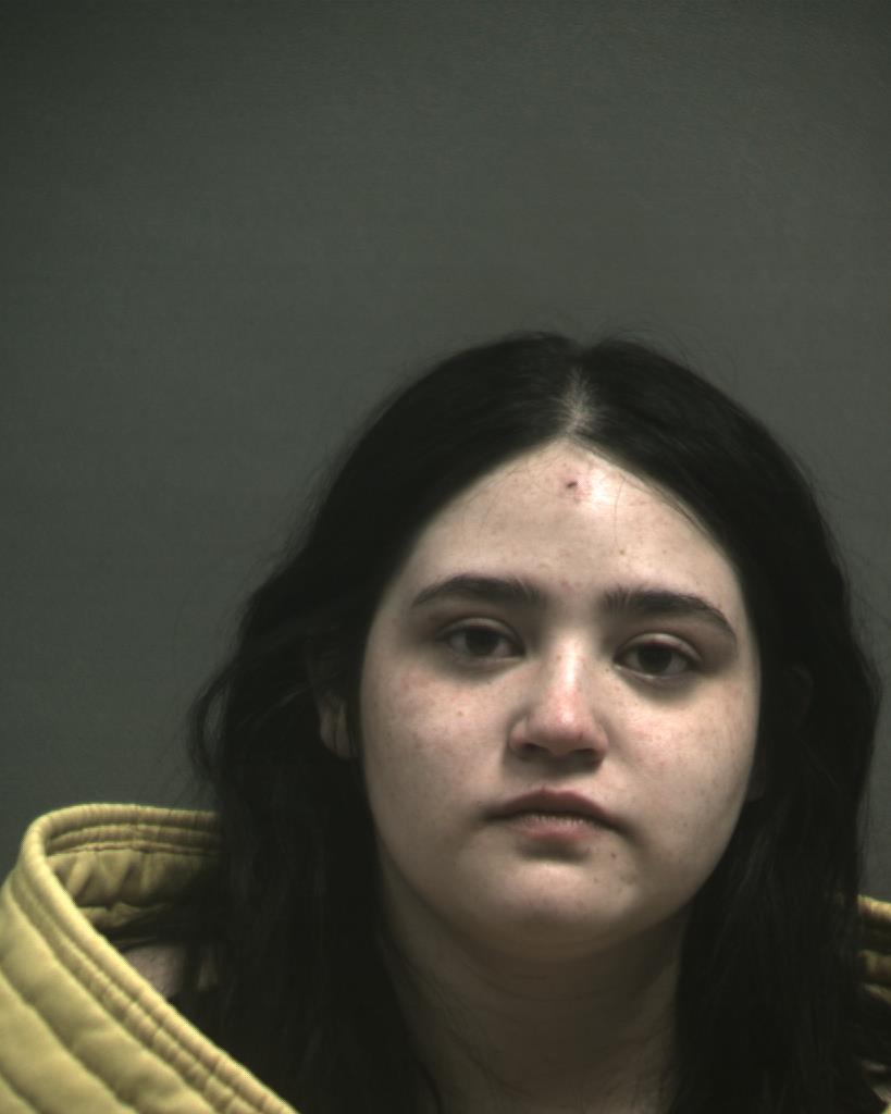 LEWIS, EMILY RENE booking photo