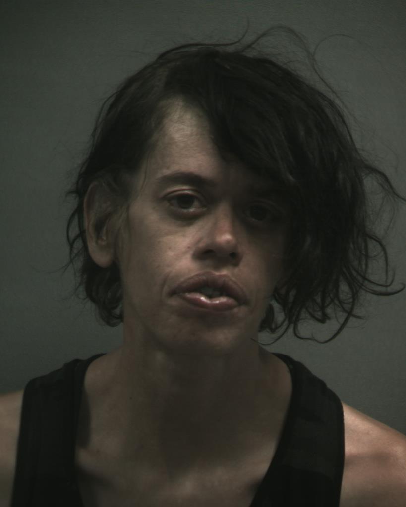 GOBER, AMY LYNN booking photo