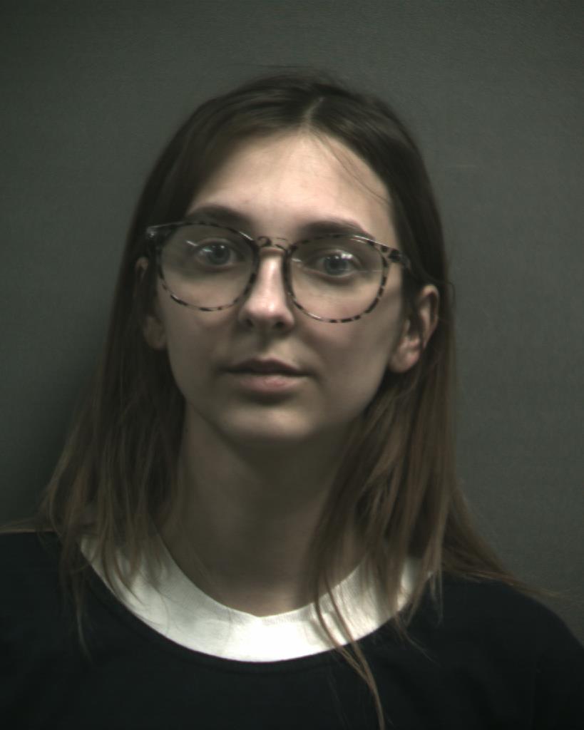 JOHNSON, AIDAN CELIS booking photo