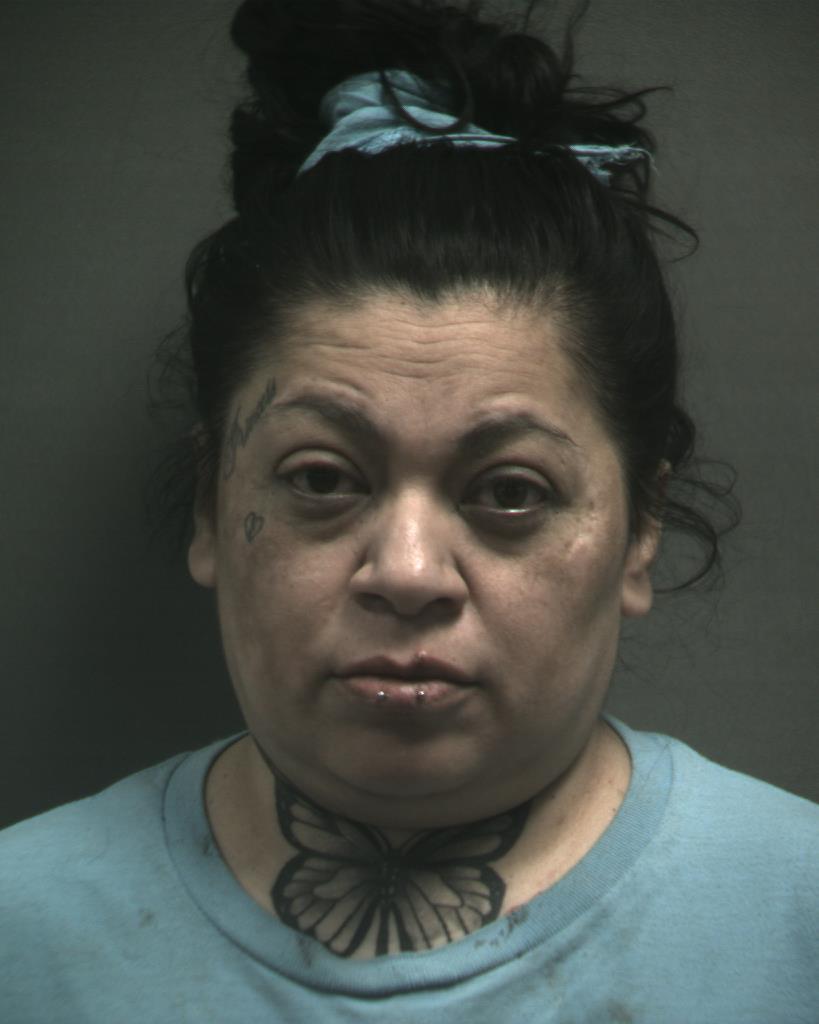 LUCERO, NELDA NORA booking photo