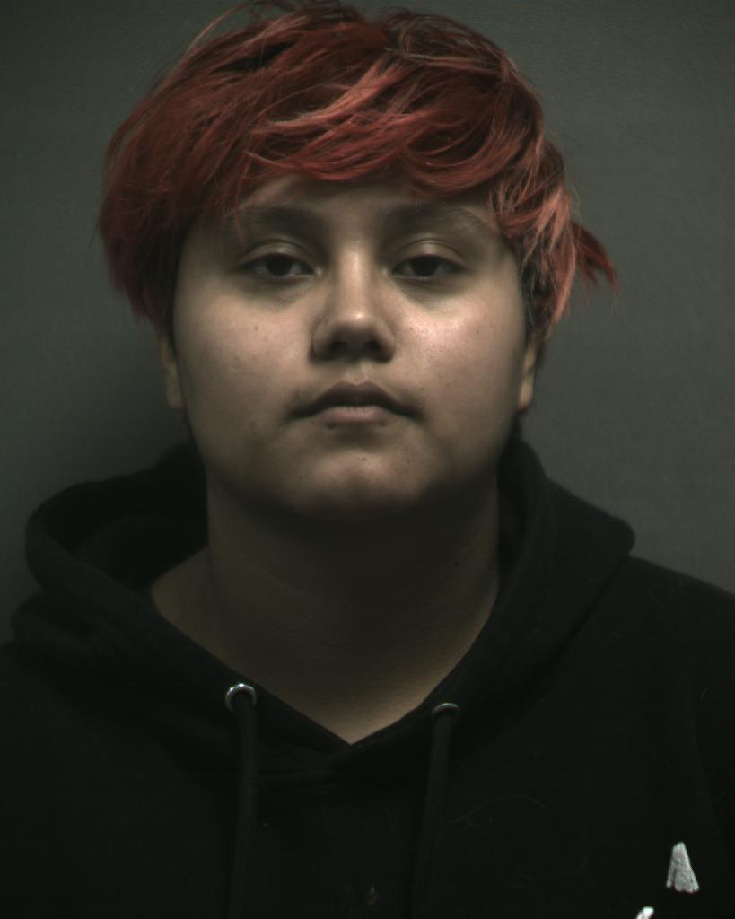 CHAPA, ROSAMARIE IRENE booking photo