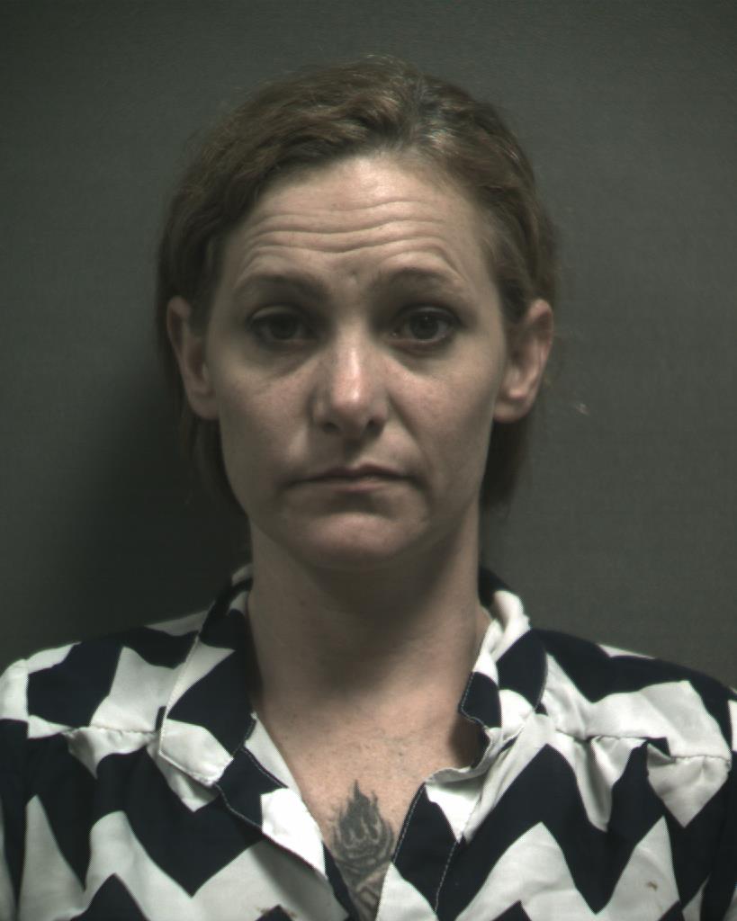 ERWIN, KRYSTLE NICHOLE booking photo