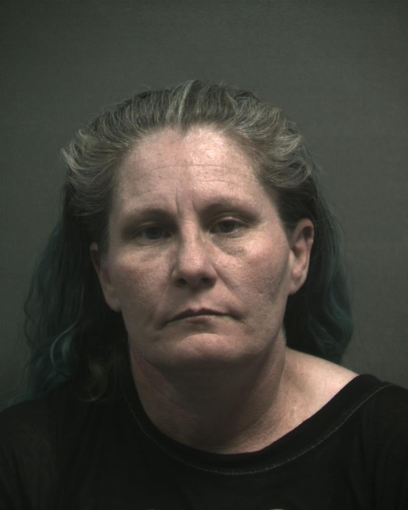 POISEL, LISA CATHLEEN booking photo