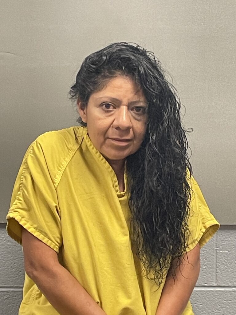 CORTINEZ, DELIA ANN arrested in Randall County, Texas mugshot