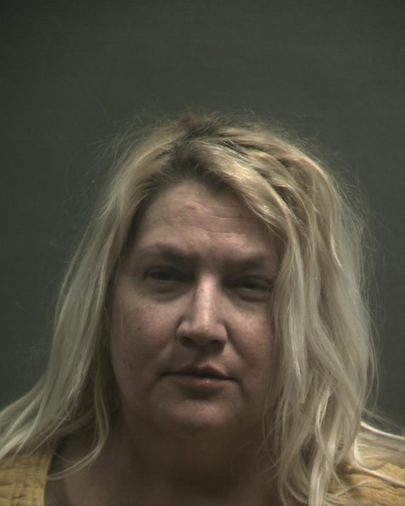 WELSH, SHERRI LYNN booking photo