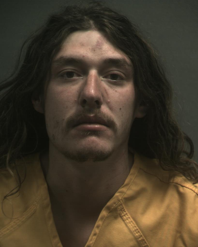 PITTS, LOGAN DALE booking photo