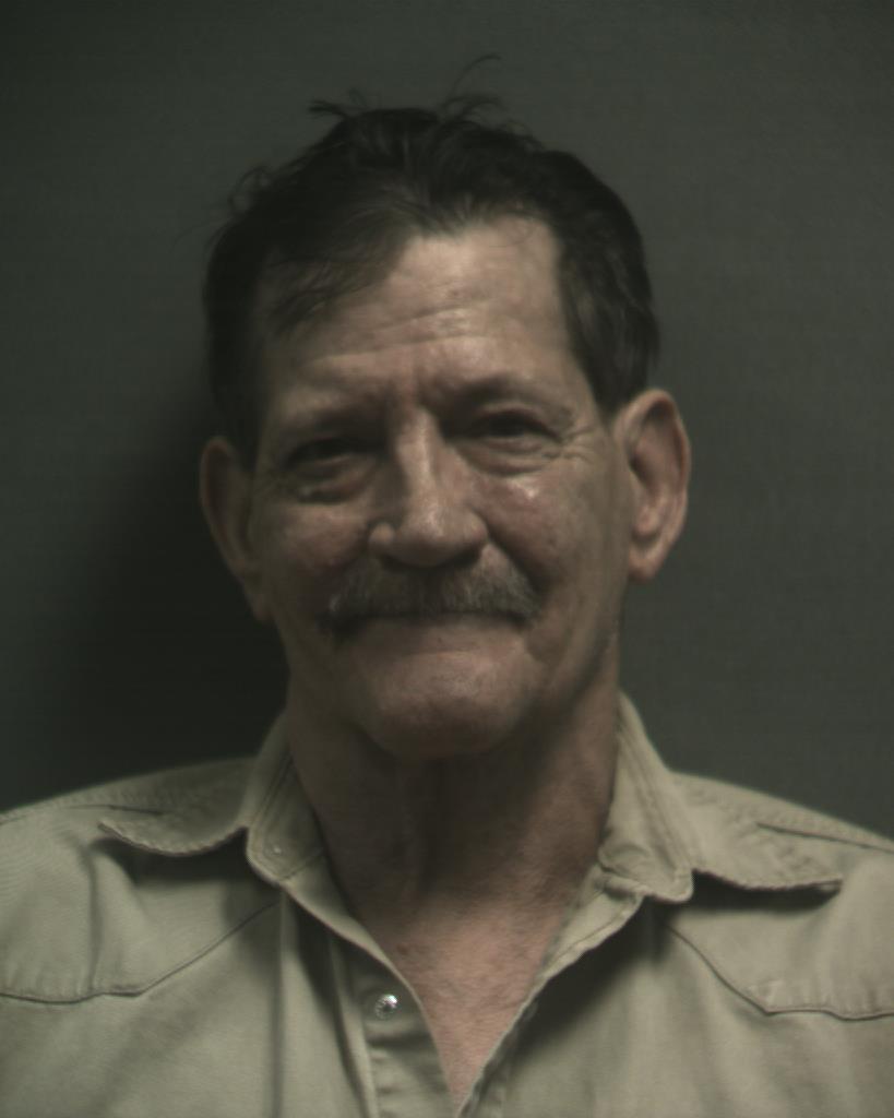 MCFAUL, TIMOTHY CARL booking photo