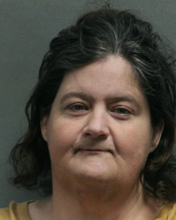 YOUNG, MICHELLE MARIE booking photo