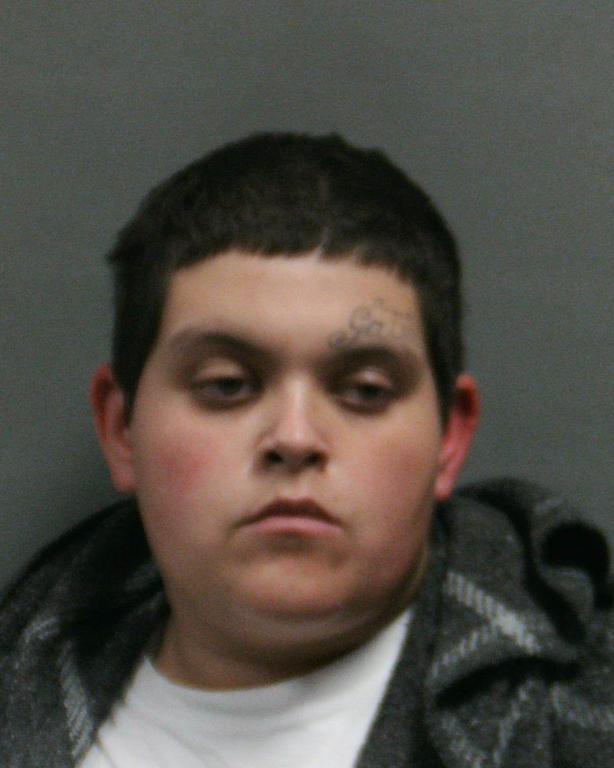 ALCALA, ALEXIS MARIE booking photo