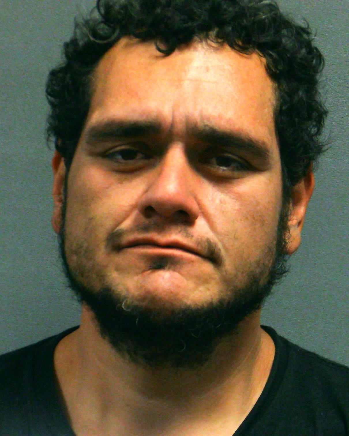 WELLS, DUSTY ALLEN booking photo