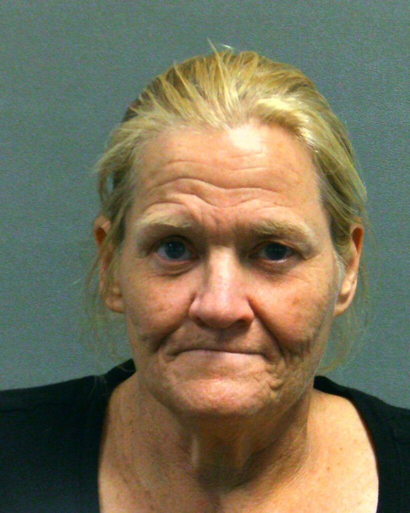 VAN SCHOICK, MICHELLE BETTS arrested in Randall County, Texas mugshot