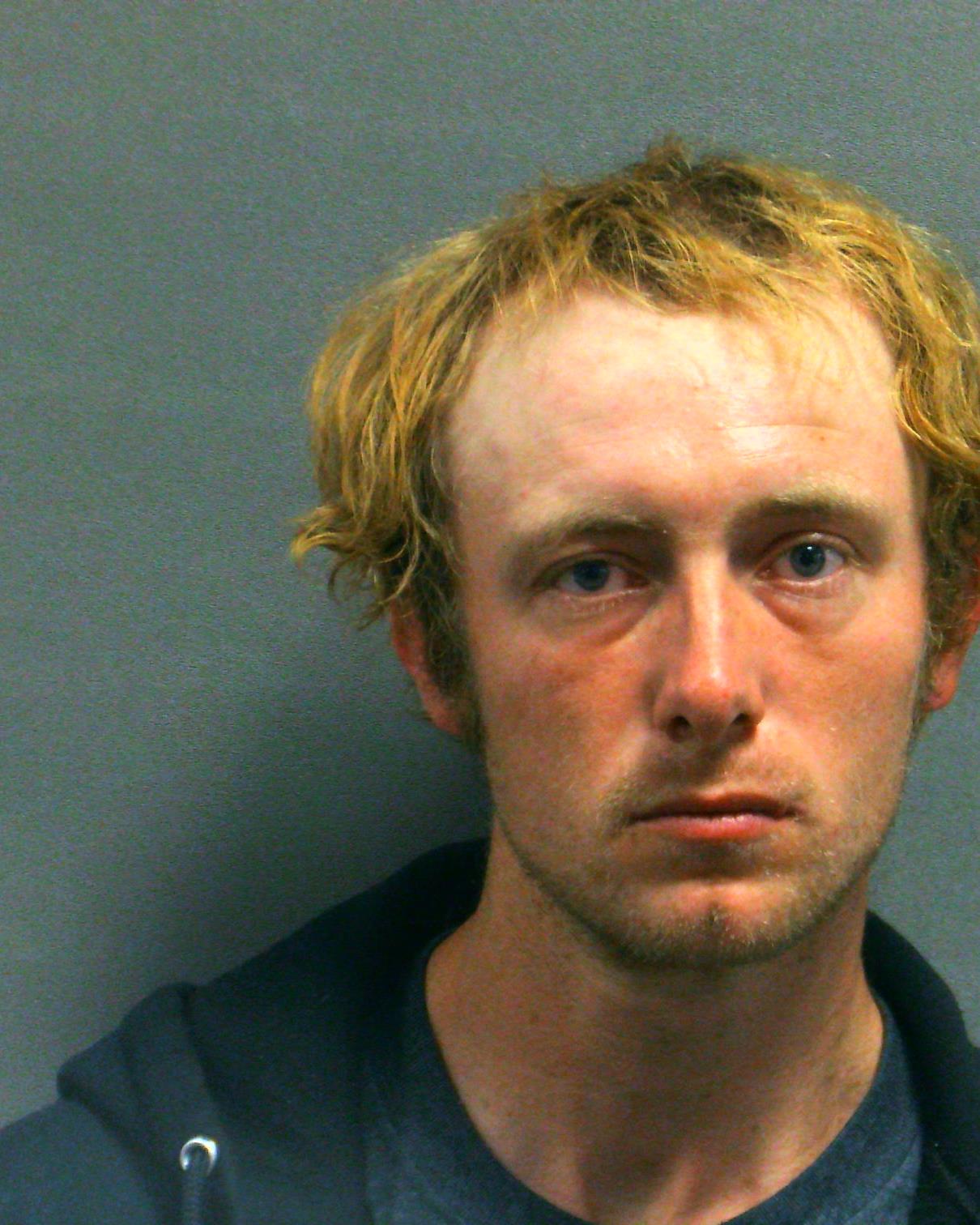 TAYLOR, JUSTIN VANN booking photo