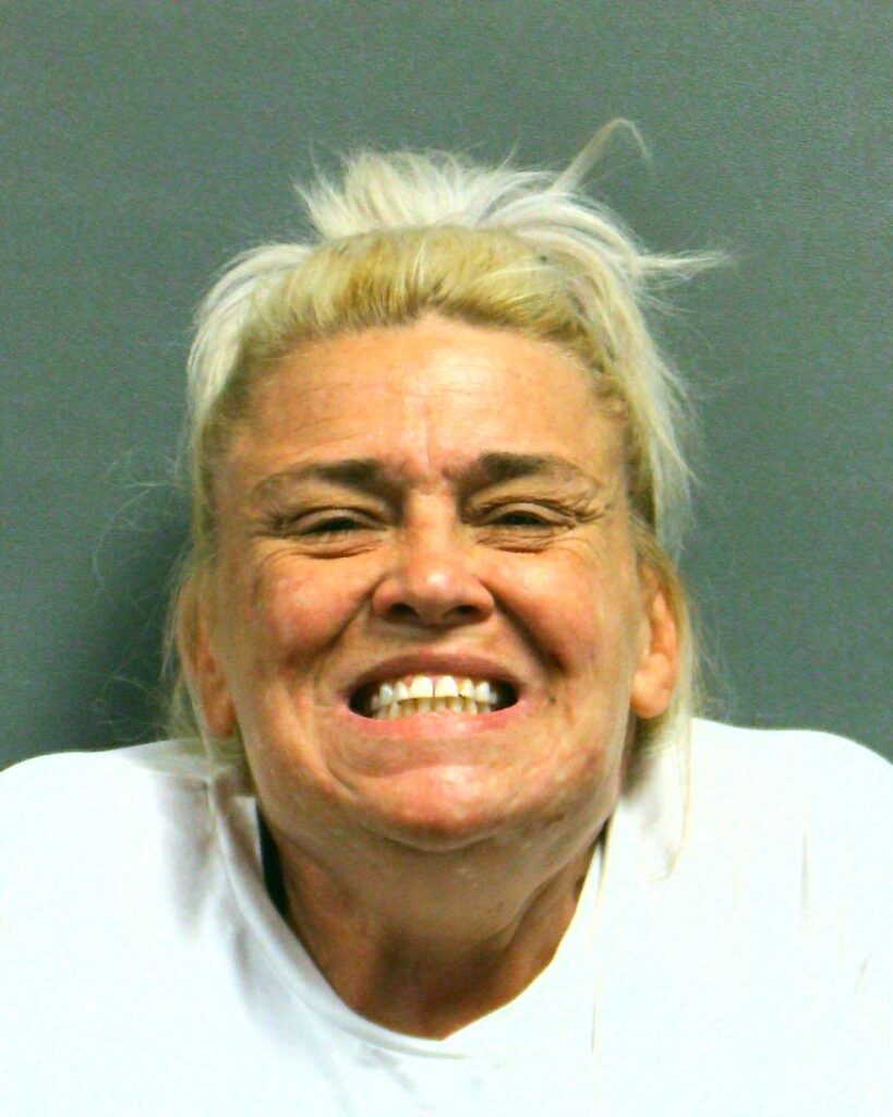 HEDRICK, STACIE CAROL arrest record in Randall County, Texas HEDRICK, STACIE CAROL arrested in Randall County, Texas mugshot