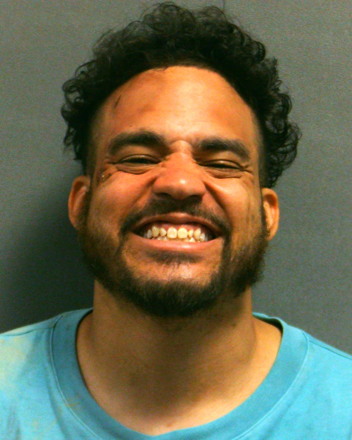 LEE, ROMEL RYN booking photo