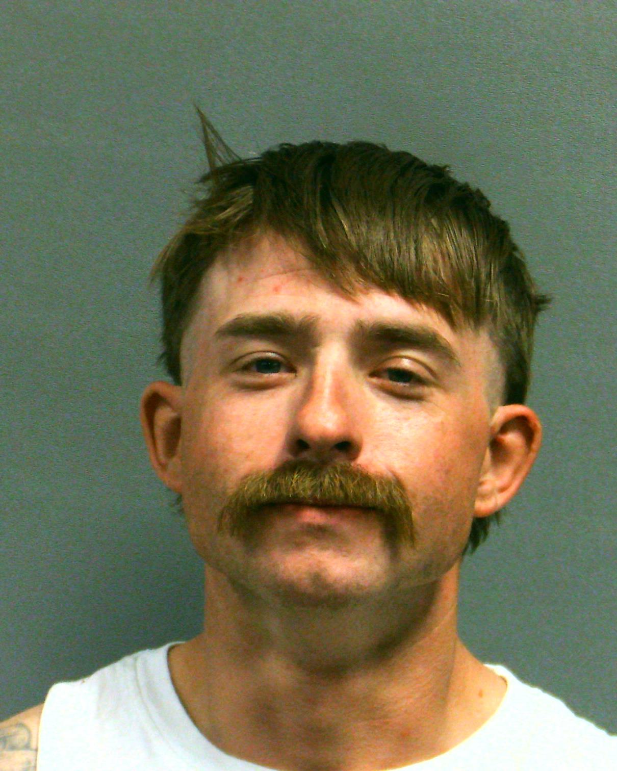 TYREE, JOSHUA TYRELL booking photo