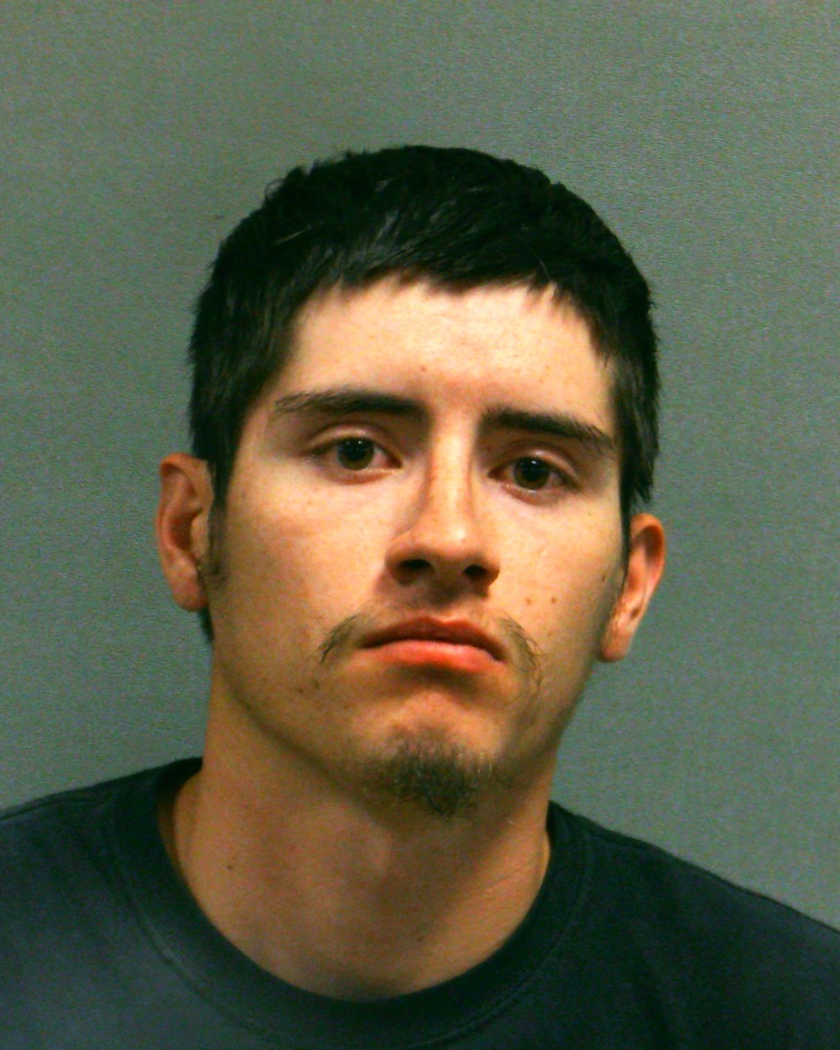 JOHNSON, DAVID MICHAEL booking photo