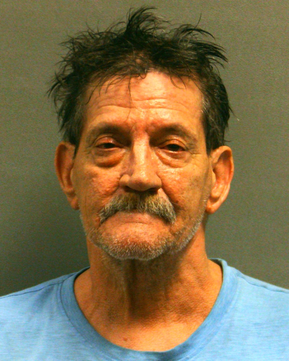 MCFAUL, TIMOTHY CARL booking photo