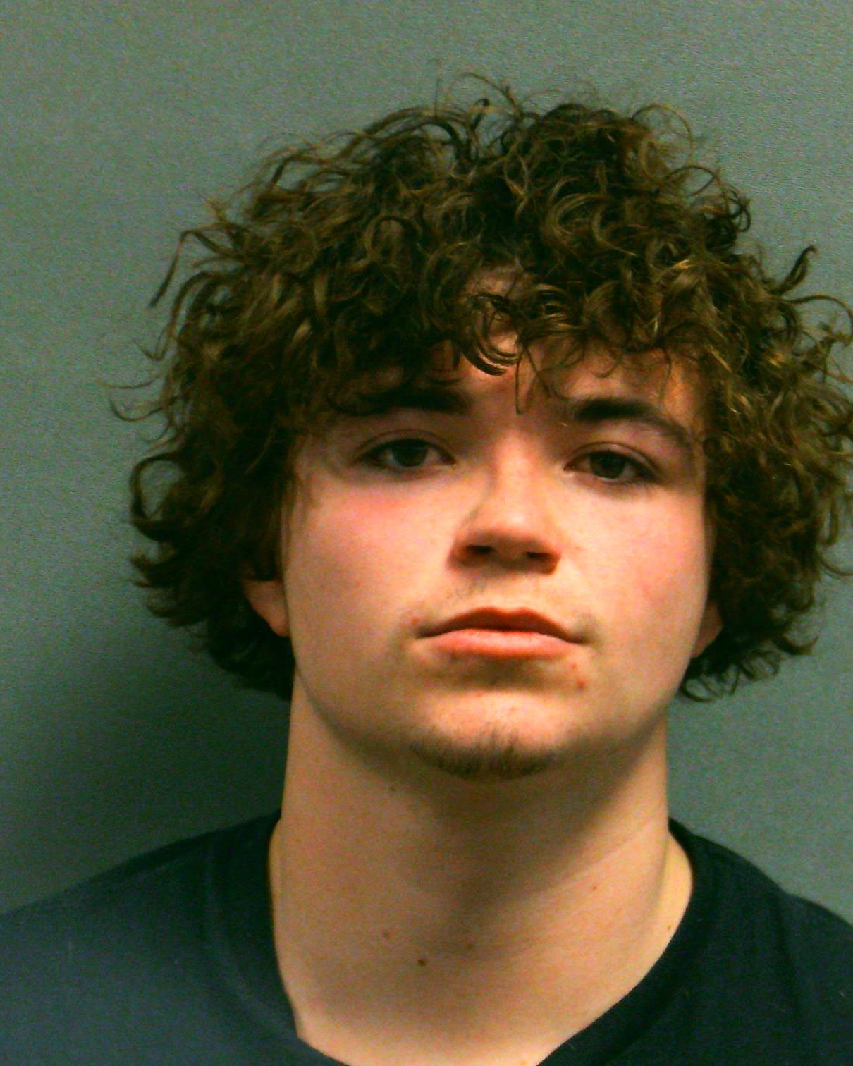 MANN, AUSTIN ALEXANDER booking photo