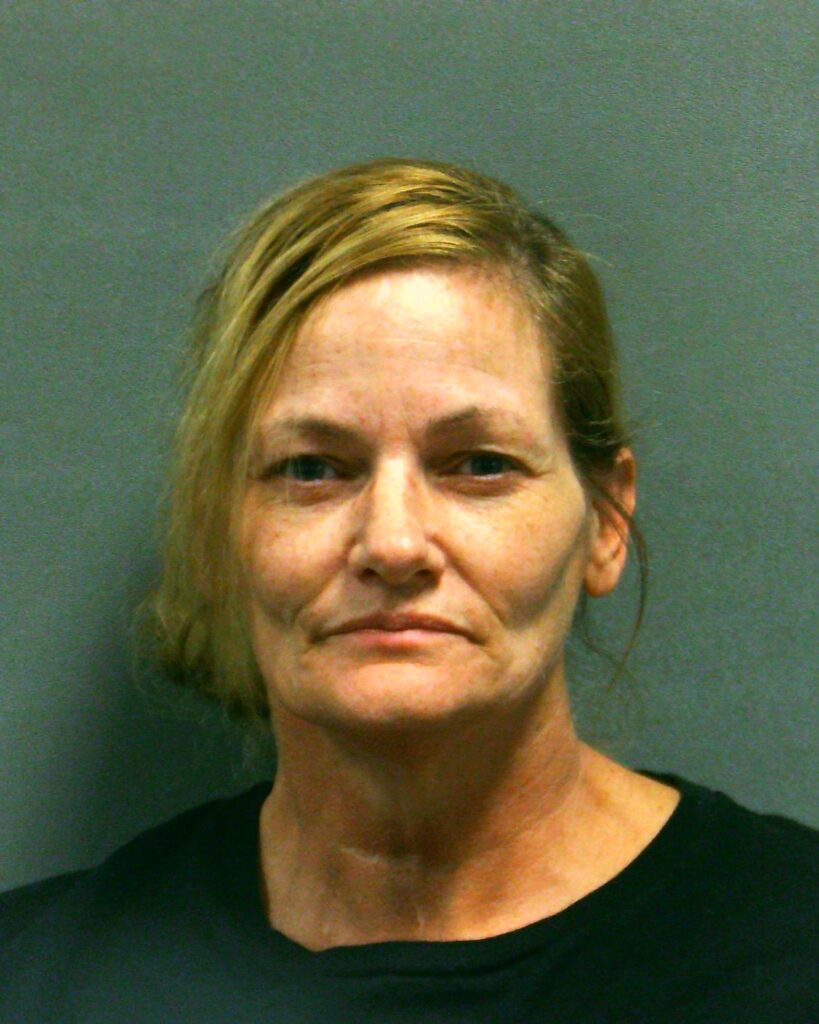 ELLISON, CAMI LEIGH arrest record in Randall County, Texas ELLISON, CAMI LEIGH arrested in Randall County, Texas mugshot