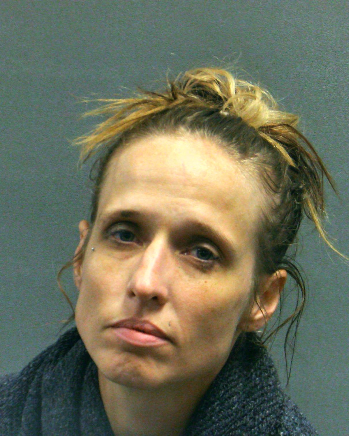 HOPSON, SARAH ELAINE booking photo