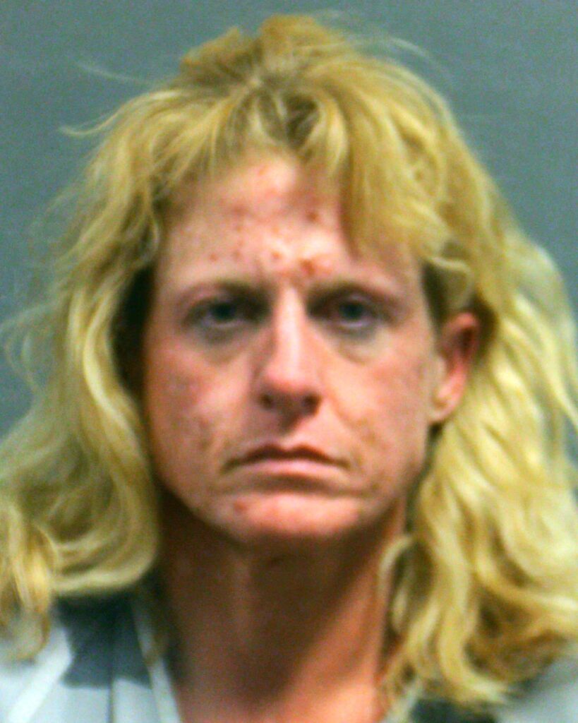 STEPHENSON, MERIDITH TAYLOR arrested in Randall County, Texas mugshot