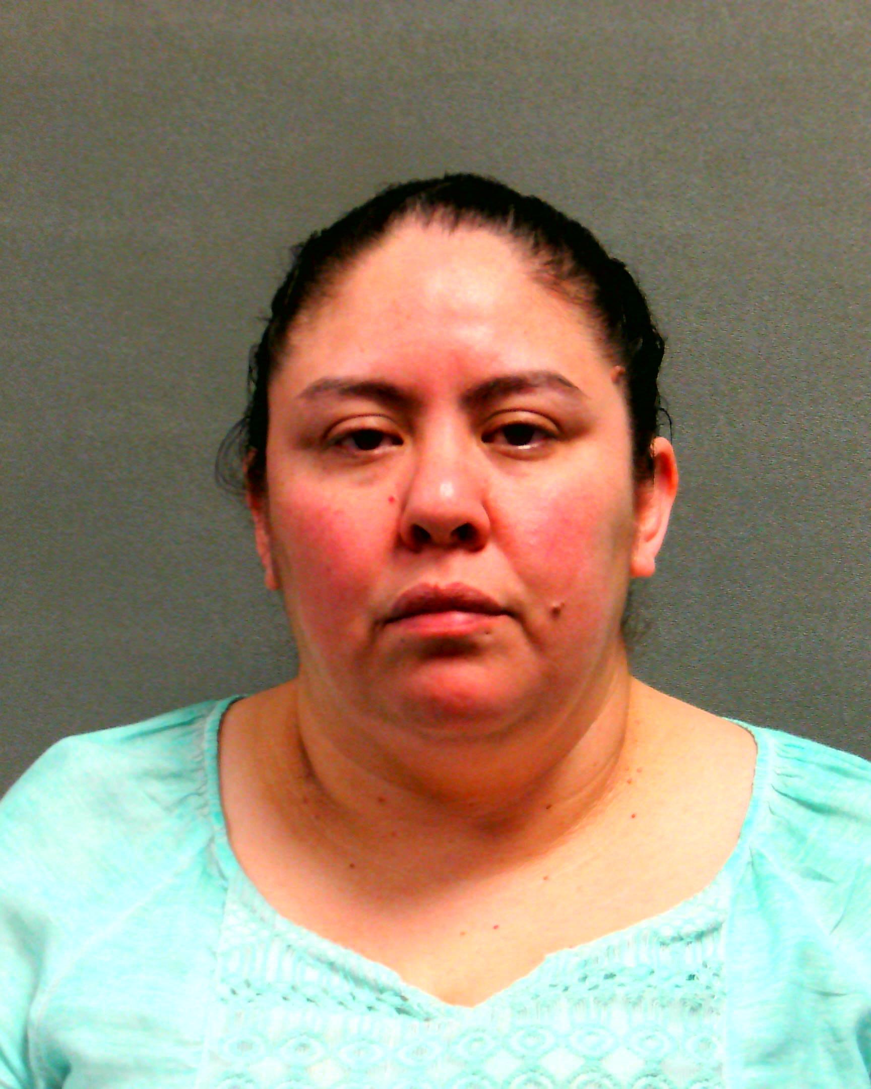 MENDEZ, CHRISTINA ELENA booking photo