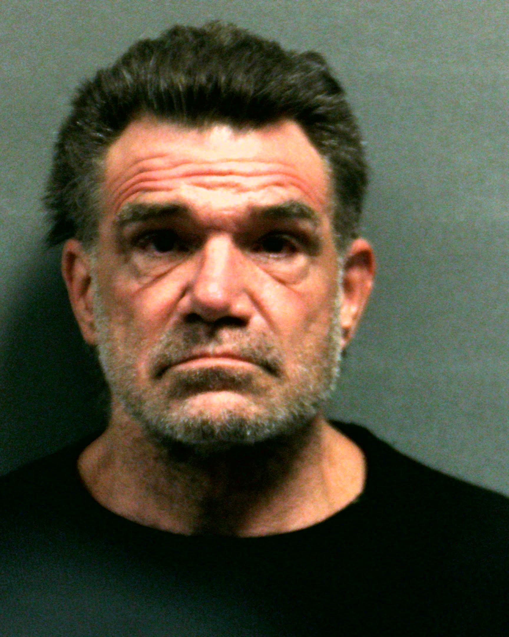 HOLLINGER, MICHAEL LYNN booking photo