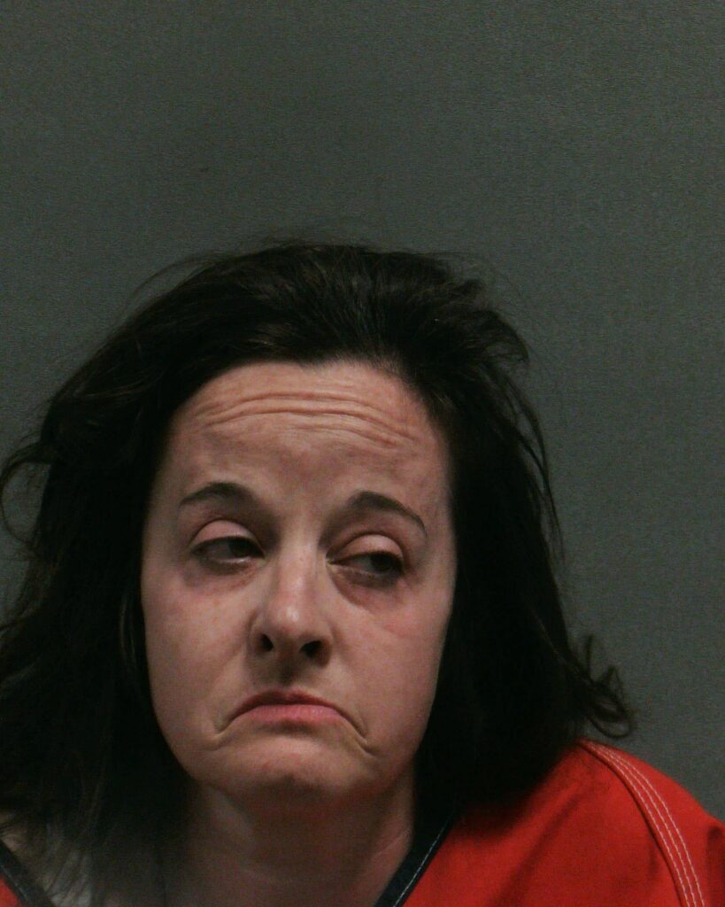 MEYER, TERI LYNN booking photo