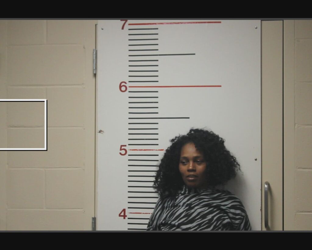 MCMORRIS, BRITTANY OLIVIA arrested in Anderson County, Texas mugshot