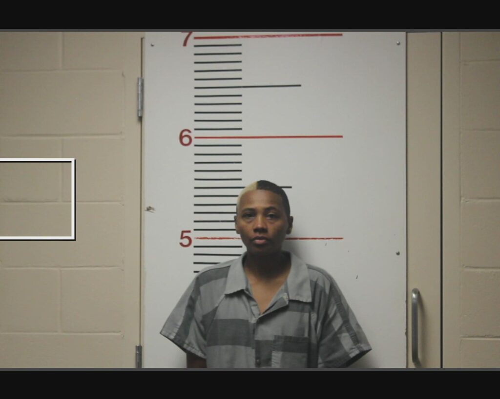 DAVIS, L;ATONYA arrest record in Anderson County, Texas DAVIS, L;ATONYA arrested in Anderson County, Texas mugshot
