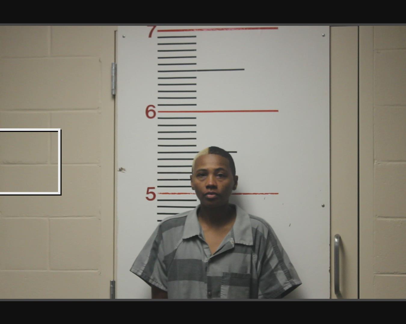 DAVIS, L;ATONYA booking photo