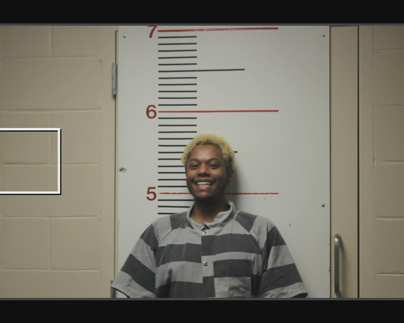 REEVES, THOMAS EDWARD, Jr. booking photo