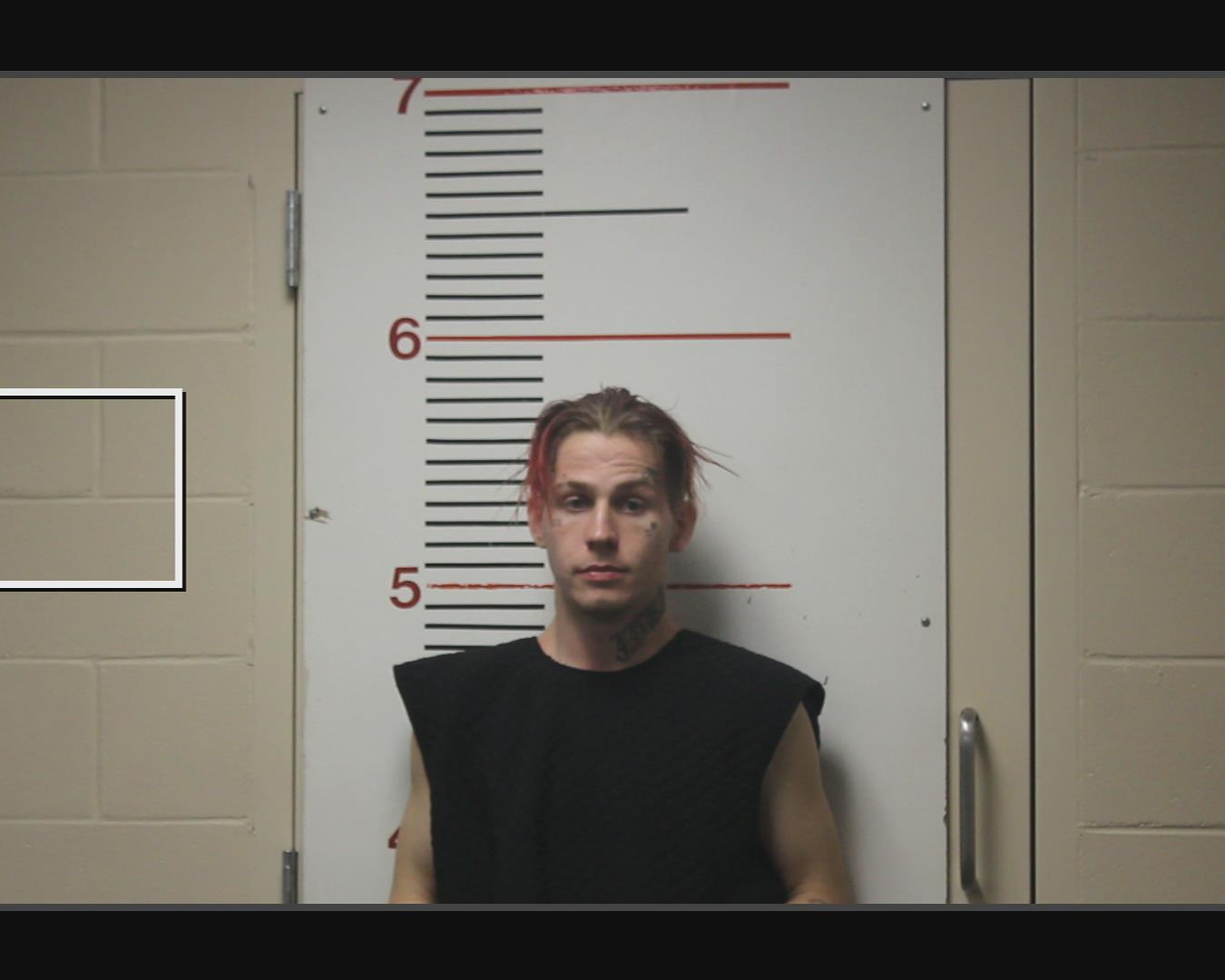 WOLF, GARREN WAYNE booking photo