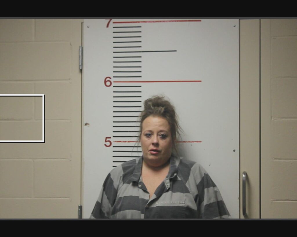 BRUCKNER, MARY HEATHER arrest record in Anderson County, Texas BRUCKNER, MARY HEATHER arrested in Anderson County, Texas mugshot