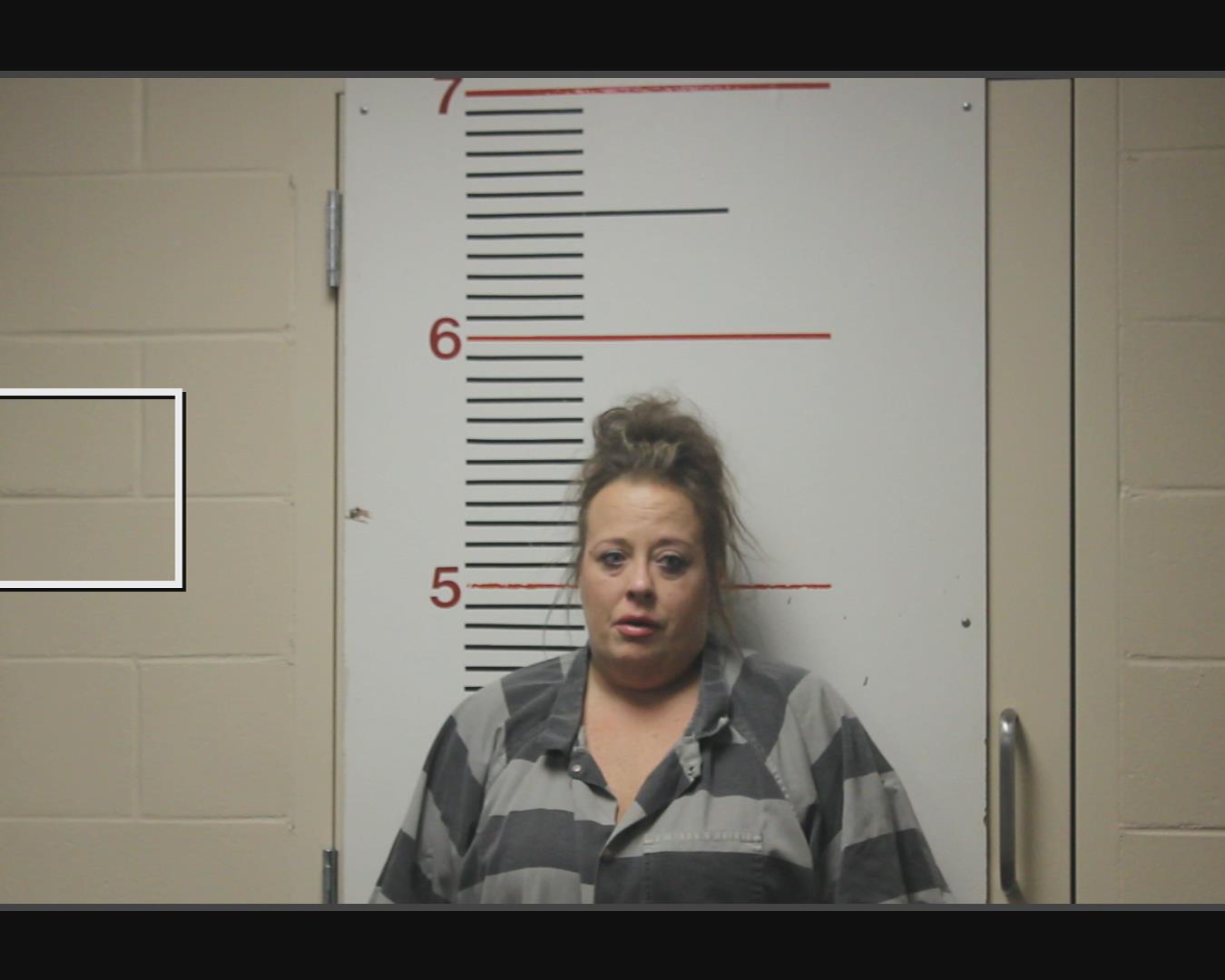 BRUCKNER, MARY HEATHER booking photo