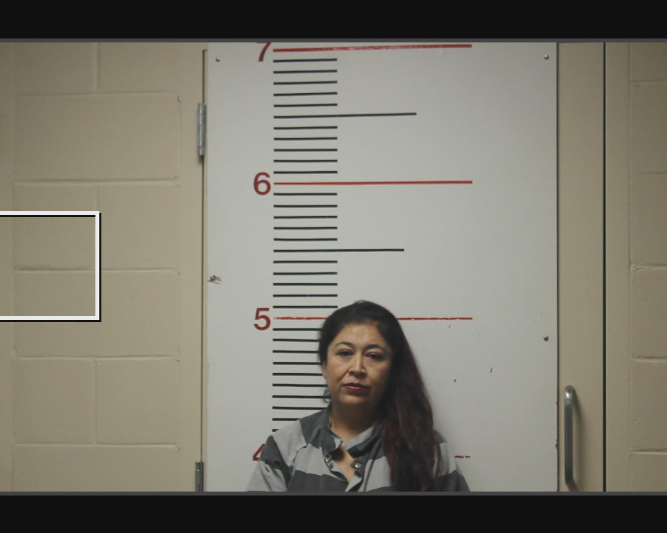 ZAVALA ALVARADO, MARCELA booking photo