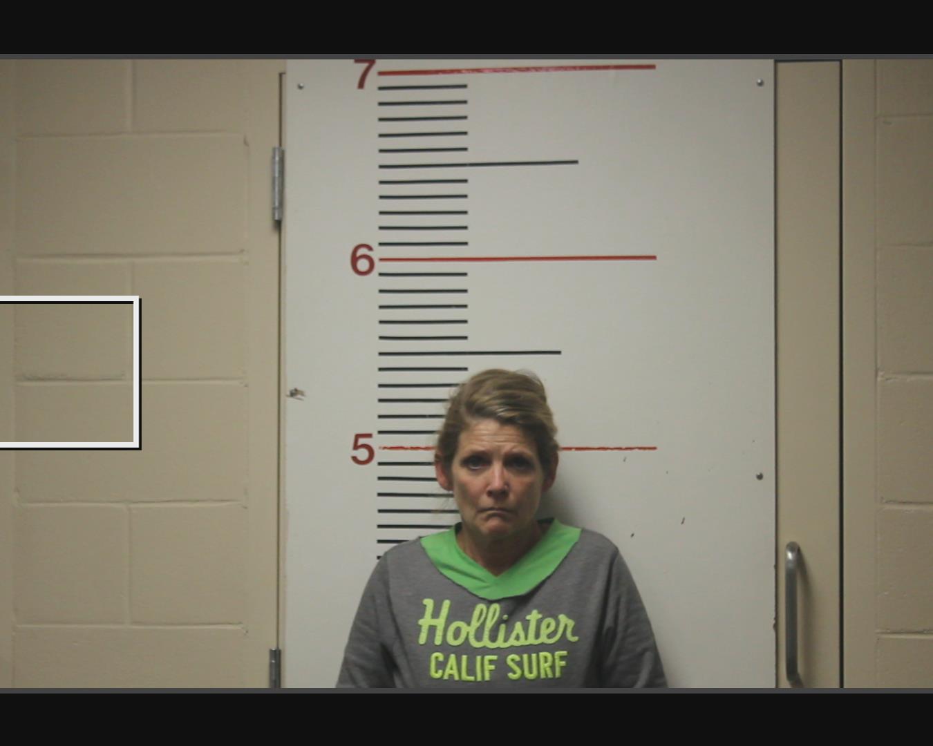 HAYS, ERIN ELIZABETH booking photo