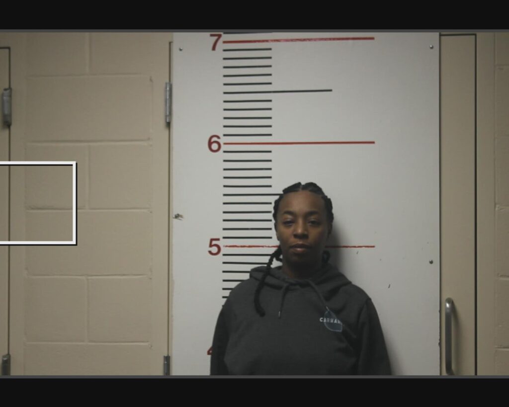 NICKERSON, PARIS NIKKA arrested in Anderson County, Texas mugshot